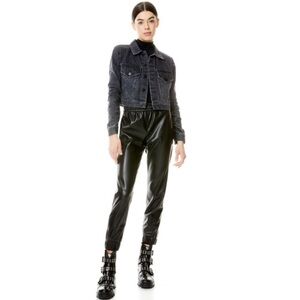 alice + olivia Vegan Leather Joggers